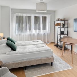 Lovely studio in the city center - Crown 1