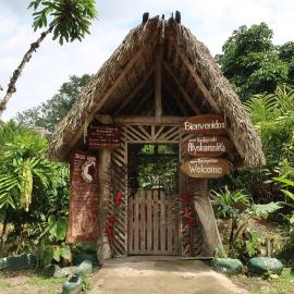 Sinchi Warmi Amazon Lodge、プエルト・ミサウアリのホテル