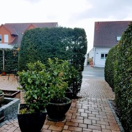 Appartement am Goldsteinpark