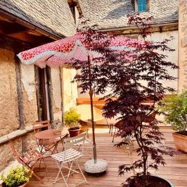 la grange d'Eugenie, hotel in Estaing