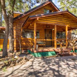 Near Scenic Trails! Woodsy Log Cabin in Lakeside