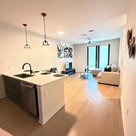 Luxury Downtown Houston Skyline Suite