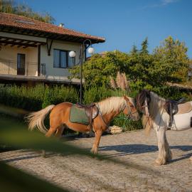 Eco Complex Albizia - Private Villas with Garden & Terrace near Byala Beach, hotel in Gospodinovo