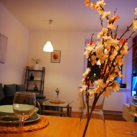 Spacious 3 room apartment in center perfect for family or a group of friends