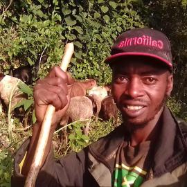 Lake bunyonyi DHA farm project, Hotel in Kashasha