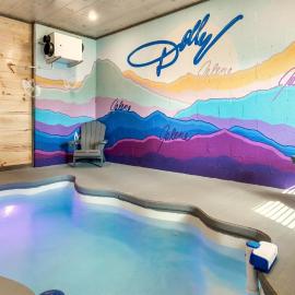 Jolene- Cabin Goals, Best Location, Pool & Hot Tub, Dogs!