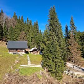 Brunarica na Goreljeku, Pokljuka