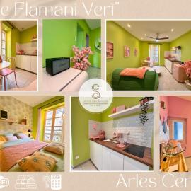 Arles Getaway - Le Flamant Vert, Hotel in Arles