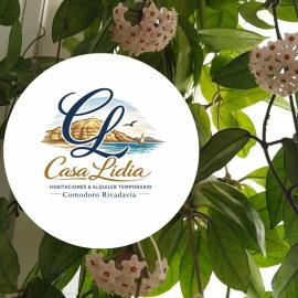 Casa LIDIA Hostel, hotel em Comodoro Rivadavia