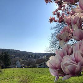 Magnifique Logement f2 Vosges La vôge-les-bains, hotel in Bains-les-Bains