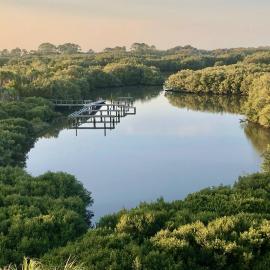 Nature's Landing C303 Water View in Cedar Key!
