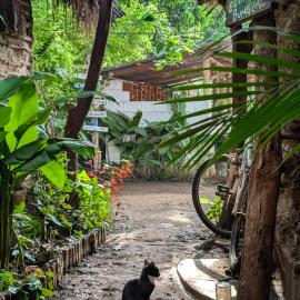 Backyard Eco Bungalows Moshi, hotel en Moshi