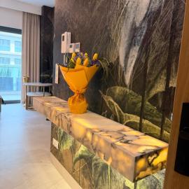 HEVENIA Apartament Sosnowy