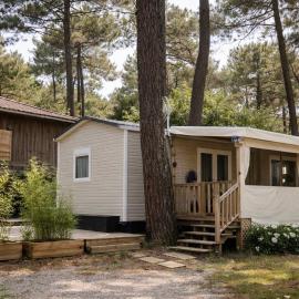 La cabane des pins