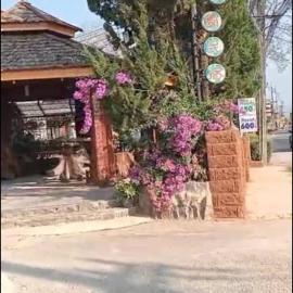 Patta Resort & Hotel, hotelli kohteessa Chiang Khong