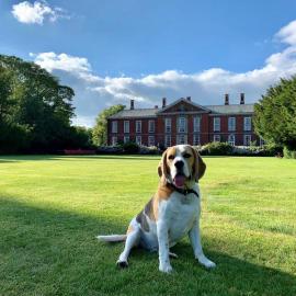 Viesnīca Bosworth Hall Hotel & Spa pilsētā Mārketbozvērta