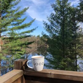 Iggy & Al's Treehouse: Northwoods Getaway, hotel a Hazelhurst