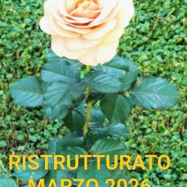 Bilocale Le Rose
