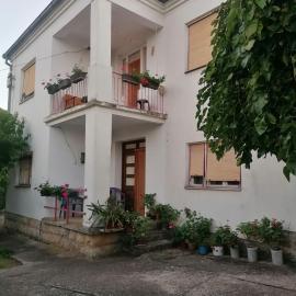 Kuca za odmor Marina Jelenkovic, khách sạn ở Knjazevac.