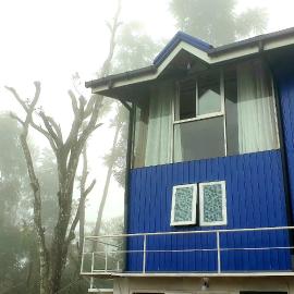 Kithul Cottage 2