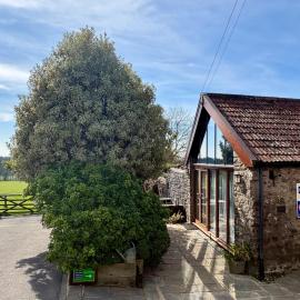 The Old Milking Parlour