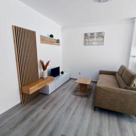 FLH - Apartament Central Silva