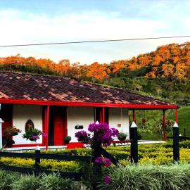 Finca Las Acacias Ecohome