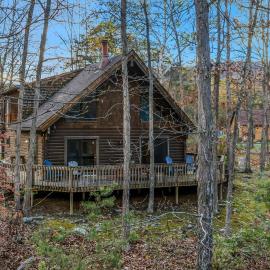 Lazy Bear Retreat - Wifi, Pet Friendly, Grill, Fire Pit, Fireplace, Deck, Golf, Hiking, Hotel in Morton Grove