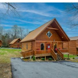 Beary Dreamy by American Patriot Getaways