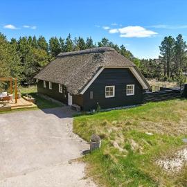 BV335-Blavand-Sandageren-7, hotel u gradu Blaavand