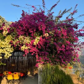 Nayar Valley Retreat, hotel en Lansdowne