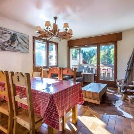Studio 3*** aux pistes, cheminée, animaux admis, garage - FR-1-304-111