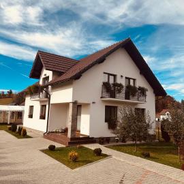 Casa Tică, hotel in Vama Buzăului