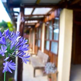 Santa Ana City Views Chalet, hotel 