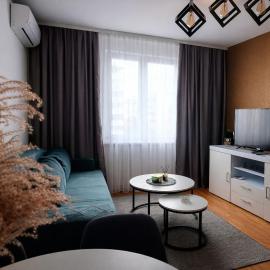 Apartman Ina stan na dan, Hotel in Donje Mladice