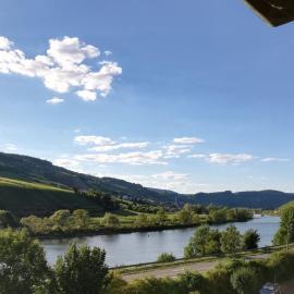 Moselhof