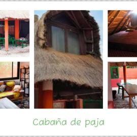 Oasis Palmarin