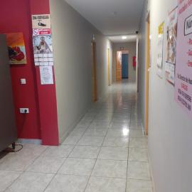 Hostel Tenerife Alberge juvenil