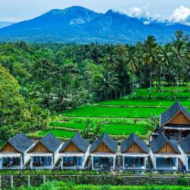 Rice Terrace Bungalows, hotel em Tetebatu