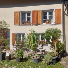 18th C Cottage near Basel, Hiking, Business, Couples, Families, Groups, Parking, Fast WiFi, Jura Mountains, hotel em Waldenburg