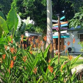La KAZ ODON, authentique villa créole dans un jardin tropical