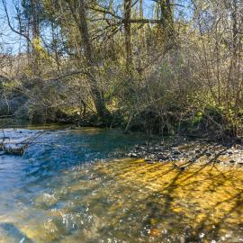 Creekside Hideout