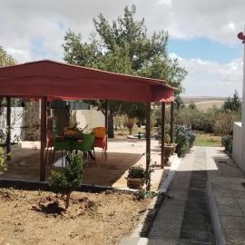 منزل ومزرعه للايجار الشوبكً Farm for rent , Shoubak , Petra, khách sạn ở Nijil
