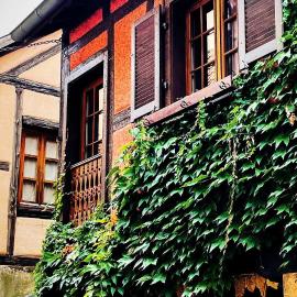 La Maison Rouge Au coeur historique de Riquewihr