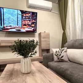 Apartment Dragoman 10