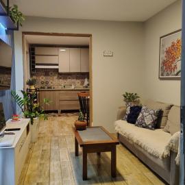 Chico's House