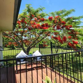 Wolvi farm retreat qld Australia, hotel a Wolvi