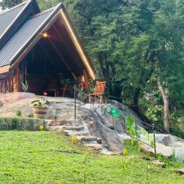 Nature Nest Cabana