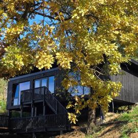 Nomad Hill Cabins, hotel en Rugineşti