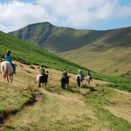 Dog-Friendly 6-Person Cottage with Hot Tub - Cantref, Brecon, hotel in Brecon